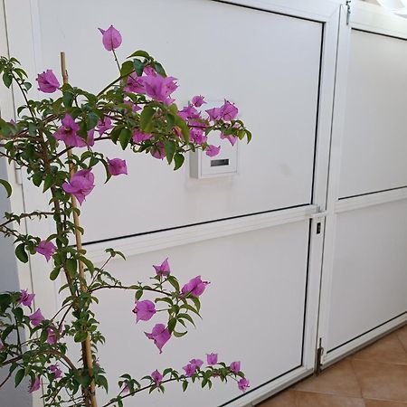 Apartman Dani Zadar Exterior foto